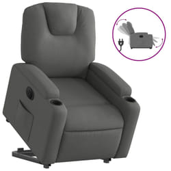 VidaXL 3204369 fauteuil