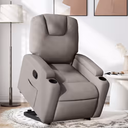 VidaXL 3204376 fauteuil