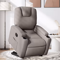 VidaXL 3204400 fauteuil