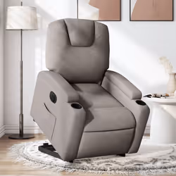 VidaXL 3204412 fauteuil