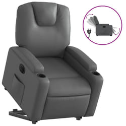 VidaXL 3204433 fauteuil