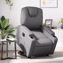 VidaXL 3204433 fauteuil