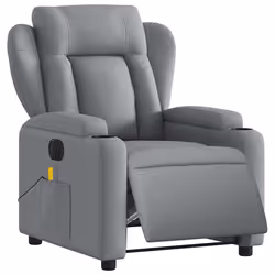 VidaXL 3204470 fauteuil