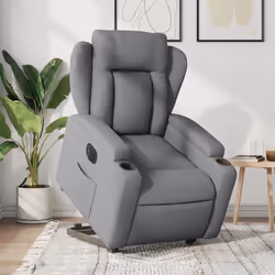 VidaXL 3204506 fauteuil