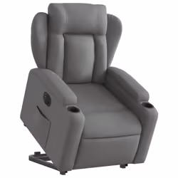 VidaXL 3204507 fauteuil