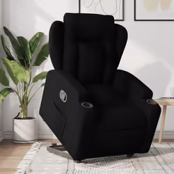 VidaXL 3204508 fauteuil