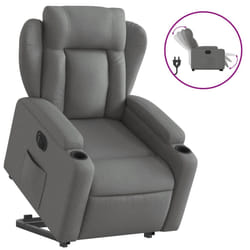 VidaXL 3204519 fauteuil