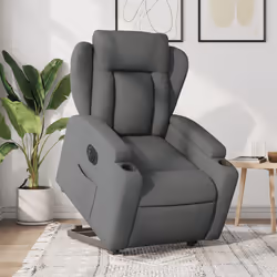 VidaXL 3204519 fauteuil