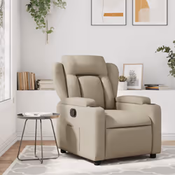 VidaXL 3204536 fauteuil