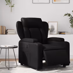 VidaXL 3204537 fauteuil