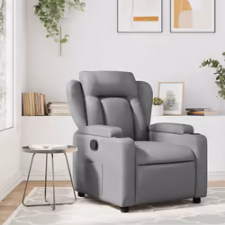 VidaXL 3204540 fauteuil