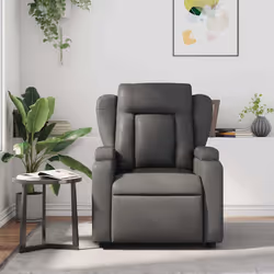 VidaXL 3204540 fauteuil