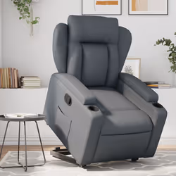 VidaXL 3204547 fauteuil
