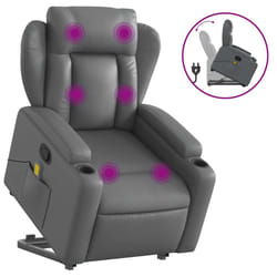 VidaXL 3204554 fauteuil