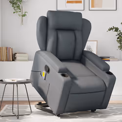VidaXL 3204554 fauteuil