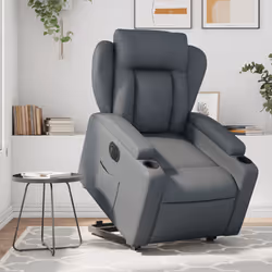 VidaXL 3204561 fauteuil