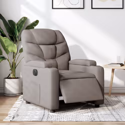 VidaXL 3204580 fauteuil