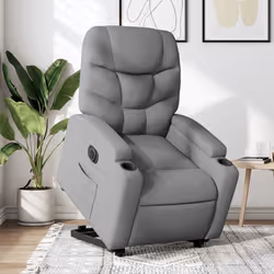 VidaXL 3204596 fauteuil