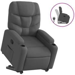 VidaXL 3204597 fauteuil