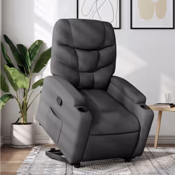 VidaXL 3204597 fauteuil