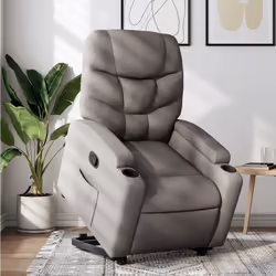 VidaXL 3204604 fauteuil