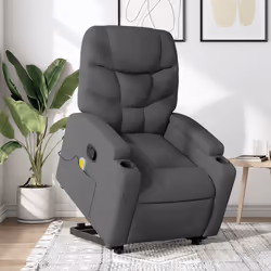 VidaXL 3204609 fauteuil