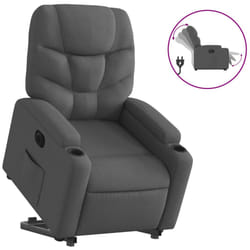 VidaXL 3204621 fauteuil