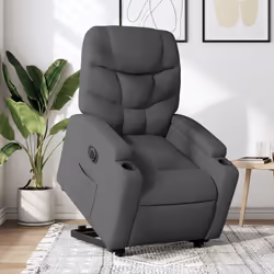 VidaXL 3204621 fauteuil