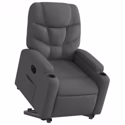 VidaXL 3204621 fauteuil