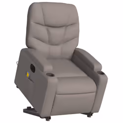 VidaXL 3204628 fauteuil