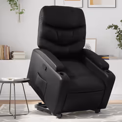 VidaXL 3204658 fauteuil