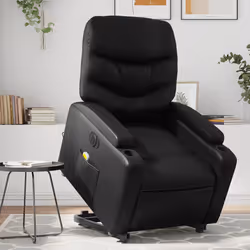 VidaXL 3204679 fauteuil