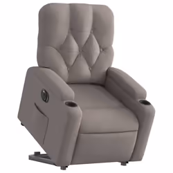 VidaXL 3204718 fauteuil