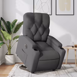VidaXL 3204735 fauteuil