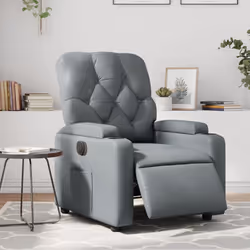 VidaXL 3204761 fauteuil