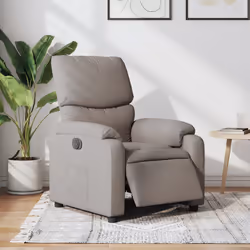 VidaXL 3204820 fauteuil