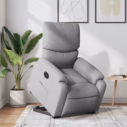 VidaXL 3204824 fauteuil