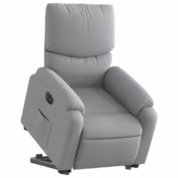 VidaXL 3204824 fauteuil