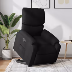 VidaXL 3204826 fauteuil