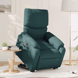 VidaXL 3204830 fauteuil