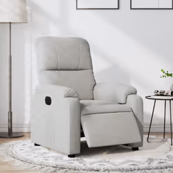 VidaXL 3204916 fauteuil