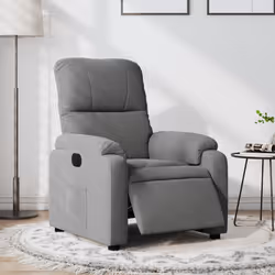 VidaXL 3204924 fauteuil