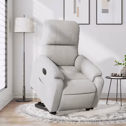 VidaXL 3204944 fauteuil - Vue supplémentaire 5