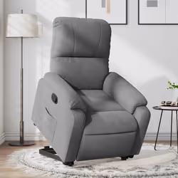 VidaXL 3204945 fauteuil