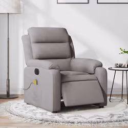 VidaXL 3204976 fauteuil