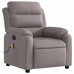 VidaXL 3204976 fauteuil