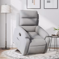 VidaXL 3204980 fauteuil