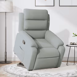VidaXL 3205092 fauteuil