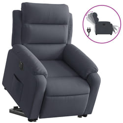 VidaXL 3205115 fauteuil