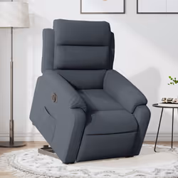 VidaXL 3205115 fauteuil